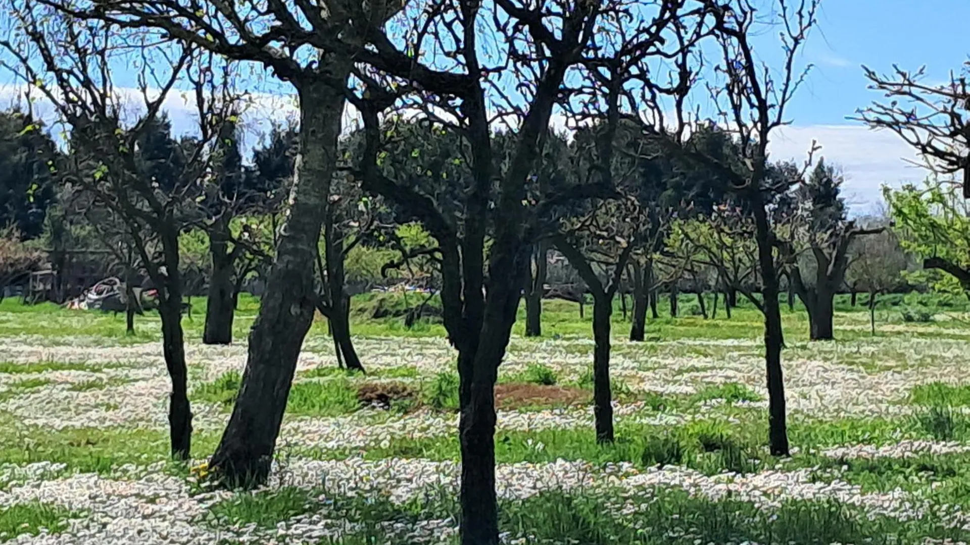 Appartamento Al Forte Cavallino-Treporti